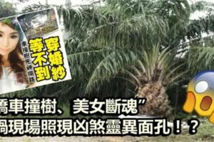 轎車撞樹！美女斷魂！車禍現場照現凶煞靈異面孔！？阿彌陀佛！！