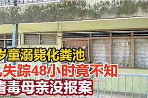 6歲童溺斃化糞池案‧兒失蹤48小時竟不知嗜毒母親沒報案
