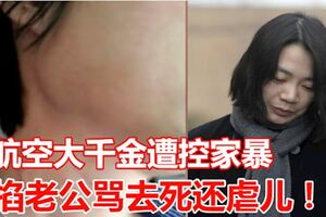 大韓航空大千金遭控家暴！掐老公罵去死還虐兒！