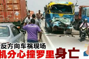 目睹反向道車禍現場羅裡司機分神撞羅裡死亡