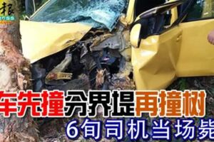 悲！轎車先撞分界堤再撞樹6旬司機當場斃命！看了真讓人心疼！