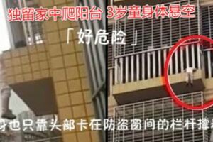 「好危險」獨留家中爬陽台3歲童身體懸空只剩頭支撐