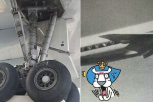 想飛想瘋了！14歲男躲起落架想偷渡...起飛後「急墜60m」驚人畫面曝光！網嚇壞：在想什麼