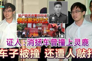 莫哈末阿迪驗屍庭證人：消拯車曾撞上靈鹿「車子被撞還遭人敲打」