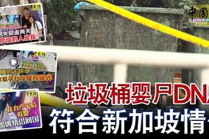 新加坡情侶台灣產子棄嬰案垃圾桶嬰屍DNA符合新加坡情侶