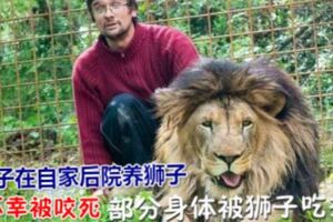 男子在自家後院養獅子繁殖，卻不幸被咬死