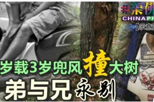 15歲載3歲兜風撞大樹弟與兄永別