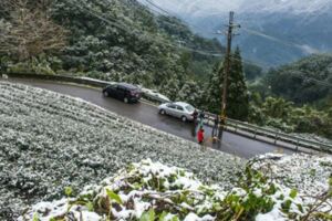 合歡山今晨飄雪花遊客歡呼：等到了