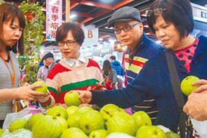 高雄出貨如同下餃子 600箱燕巢芭樂要搭船出海了