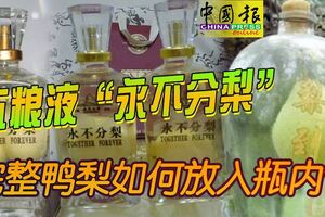 中國酒五糧液「永不分梨」　完整鴨梨如何放入瓶內？