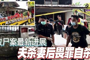 雙屍案最新進展夫殺妻後畏罪自殺