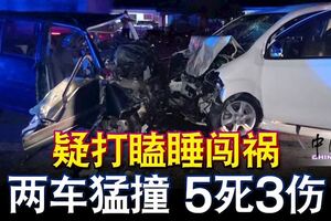 疑打瞌睡闖禍兩車猛撞5死3傷