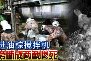 掉進油棕攪拌機外勞斷成兩截慘死