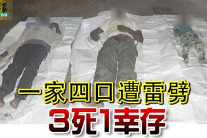 一家四口遭雷劈3死1倖存