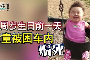 滿周歲生日前一天女童被困車內焗死