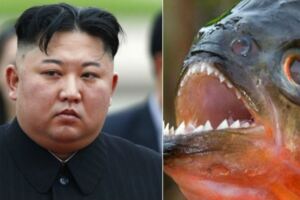 北韓到底有多恐怖？金正恩最新「殘酷處決方法」竟是把OO餵食人魚吃…慘不忍睹
