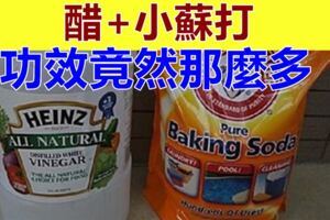 當「醋」遇見「小蘇打」，竟有意想不到用途，家居必備，好多人的難題全都解決了