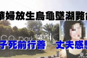 放生烏龜墜湖斃命　妻子死前行善　丈夫感驕傲