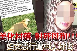 美化村落射死母狗！！！巫裔婦女惡行遭村人討伐