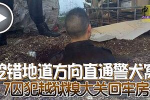 挖錯地道方向直通警犬窩7囚犯越獄糗大關回牢房