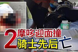 2摩哆迎面撞2騎士先後亡