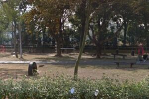 老翁公園「躺輪胎」摔傷頸 2次手術撿回一命 請求國賠卻遭拒