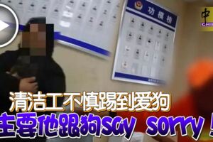 清潔工不慎踢到愛狗飼主要他跟狗saysorry！