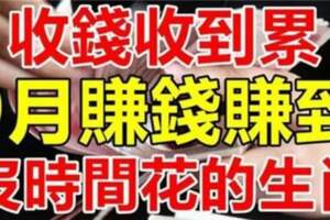 收錢收到累，9月賺錢賺到沒時間花的生肖