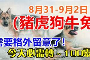 8月31日-9月2日（豬虎狗牛兔）需要格外留意了，今天必須轉