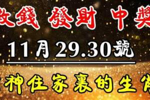 11月29.30號橫財連發，數錢數到手軟的生肖