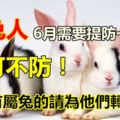 屬兔人6月需要提防一個人，不可不防！家裡有屬兔的請為他們轉發下！