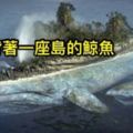 5隻據說「只有死前才有機會看到」的古代傳說神獸，#4原來全亞洲只有「牠」一隻！