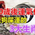 30歲後運氣佳，大走狗屎運的3大生肖！