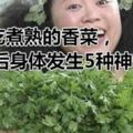 每天吃煮熟的香菜，30天後身體發生5種神奇變化