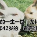 屬兔人的一生一世：尤其是1975年42歲的，看完誰不哭？