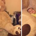 超有愛爺爺為了孫女「把巨無霸熊玩偶」搬回家，超小一隻的孫女坐上去的畫面太療愈了！