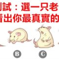 個性測試：選一隻老鼠，看出你最真實的一面！
