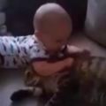 寶寶跟貓咪一起玩耍，寶寶突然偷襲貓咪，接著貓咪的反應令人笑翻!!!