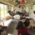 籲關注日本流浪貓乘火車