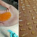 她用15分鐘將橘子剝成「284顆果粒」，超像粉刺的密集畫面瞬間讓愛看的人都被治癒了！