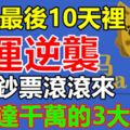 10月最後10天裡財運逆襲，大把鈔票滾滾來，橫財達千萬的3大生肖