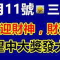 11月11號出門迎財神，財運好的不得了，有望中大獎發大財的生肖