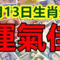 11月13日生肖運勢，財運相當不錯，想買房買車的人，可以收入囊中