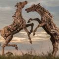 普通人一眼都不想看的漂流木，經過這位藝術家的巧手雕塑…全都變成有靈魂的動物木雕！