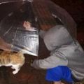 網友下樓喂流浪貓，中途下起小雨，兒子的一個小動作讓她感動到了