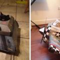 7個「貓皇收到會龍心大悅打賞你」的超酷紙皮箱玩具。