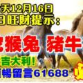 今天12月16日,每日旺財提示：馬蛇猴兔，豬牛狗虎。運勢大吉大利！財路順暢留言61688必轉！