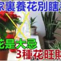 馬上快過年了！家裡養花別瞎養，這2種花是「大忌」，而3種花「旺財養人」！