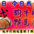 2月1日，今日我最旺！狗牛雞羊猴馬虎蛇！【22288】越早打開越靈驗！點個贊吧！