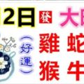 2月2日生肖運勢_雞、蛇、鼠大吉